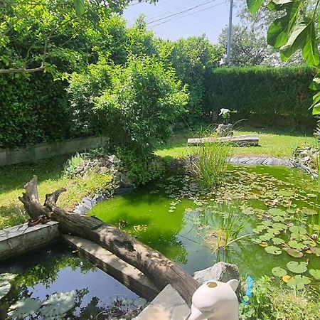 Apartament L'Echappee Belle Calmont  Zewnętrze zdjęcie