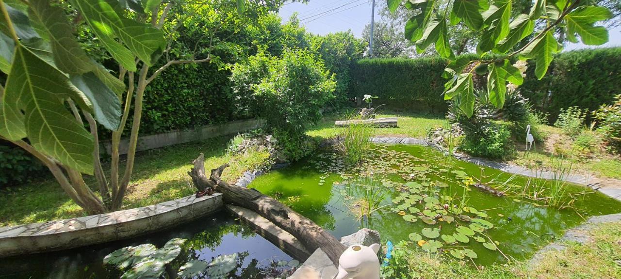 Apartament L'Echappee Belle Calmont  Zewnętrze zdjęcie