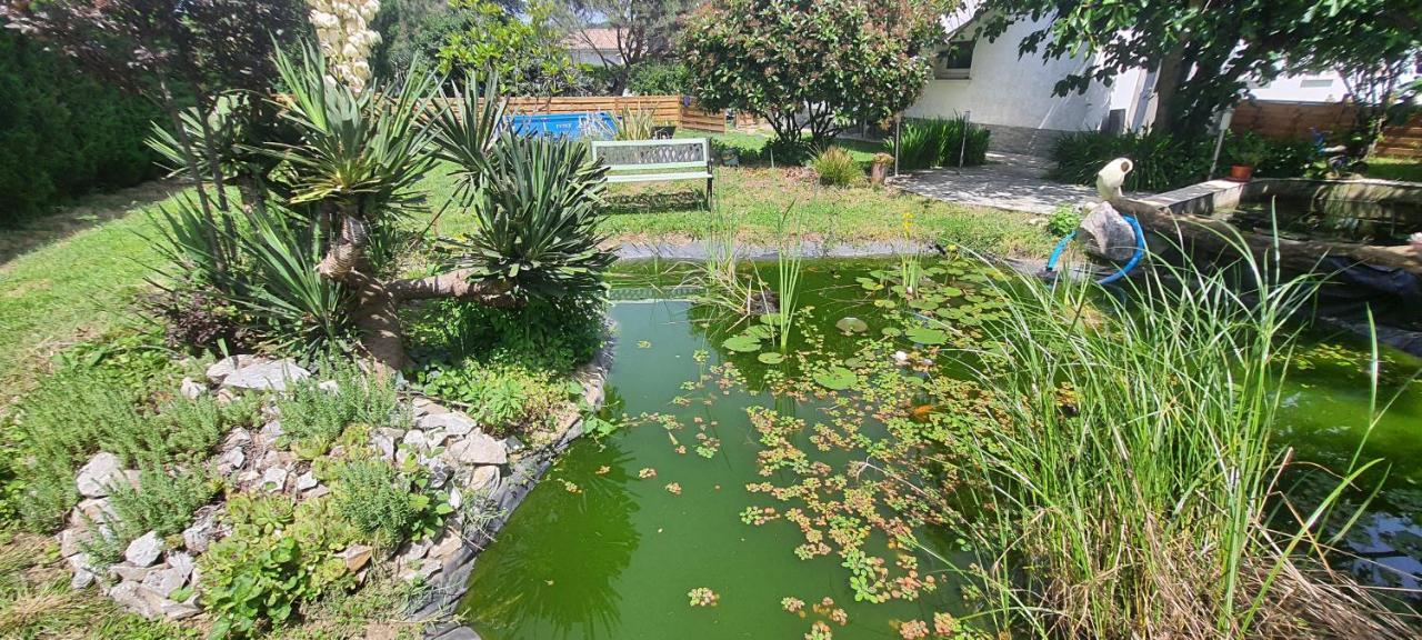 Apartament L'Echappee Belle Calmont  Zewnętrze zdjęcie
